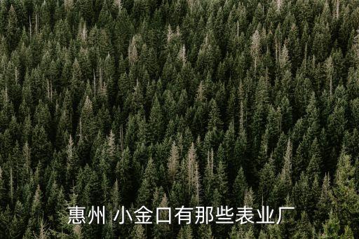  惠州 小金口有那些表業(yè)廠