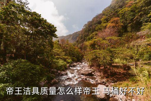 帝王潔具質(zhì)量怎么樣帝王 馬桶好不好