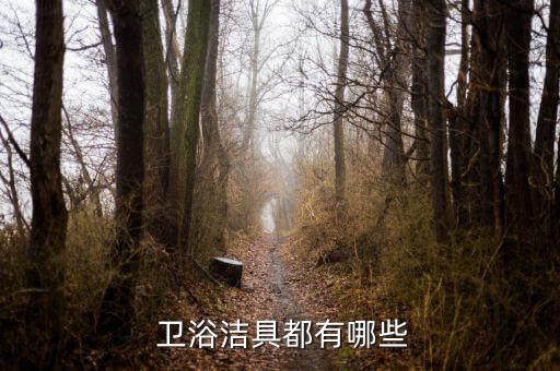  衛(wèi)浴潔具都有哪些