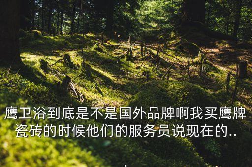 鷹之浴衛(wèi)浴 廠家,鷹潔衛(wèi)浴廠家介紹