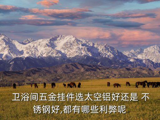 衛(wèi)浴間五金掛件選太空鋁好還是 不銹鋼好,都有哪些利弊呢
