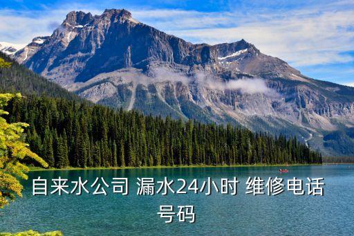 海景衛(wèi)浴馬桶漏水維修電話