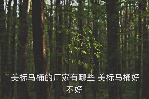  美標(biāo)馬桶的廠家有哪些 美標(biāo)馬桶好不好