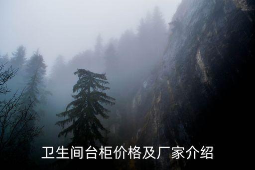 衛(wèi)生間臺(tái)柜價(jià)格及廠家介紹