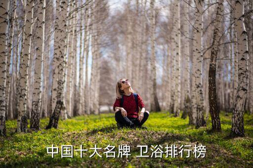 家具和衛(wèi)浴推薦哪個品牌,衛(wèi)浴安裝和家具安裝哪個好學