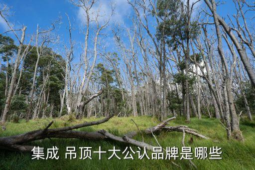 集成 吊頂十大公認(rèn)品牌是哪些
