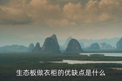 生態(tài)板做衣柜的優(yōu)缺點(diǎn)是什么
