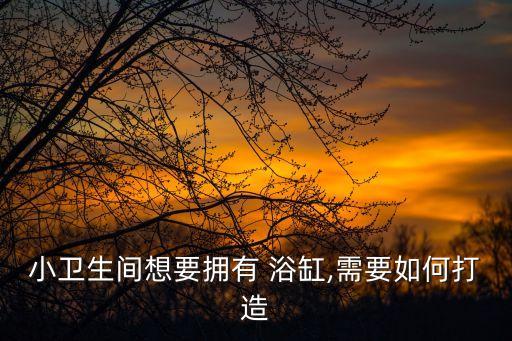 當(dāng)代衛(wèi)浴浴缸安裝圖片,長(zhǎng)江衛(wèi)浴浴缸圖片