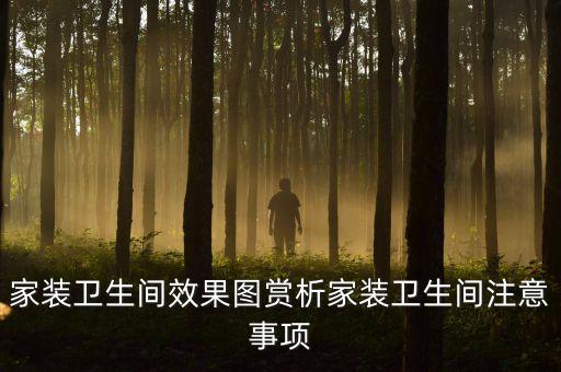 家裝衛(wèi)生間效果圖賞析家裝衛(wèi)生間注意事項