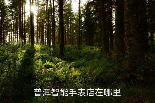 普洱智能手表店在哪里