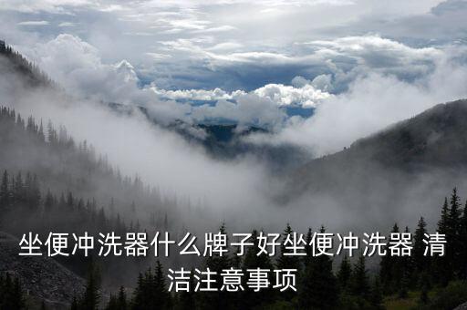 坐便沖洗器什么牌子好坐便沖洗器 清潔注意事項(xiàng)