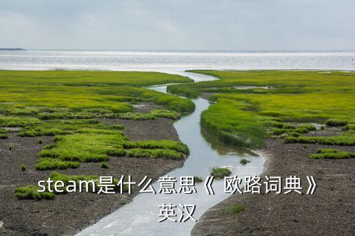 steam是什么意思《 歐路詞典》英漢