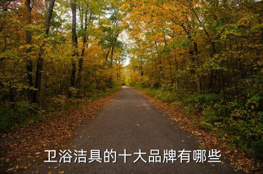  衛(wèi)浴潔具的十大品牌有哪些