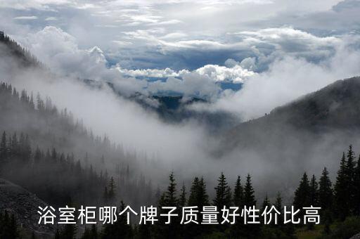 浴室柜哪個牌子質(zhì)量好性價比高