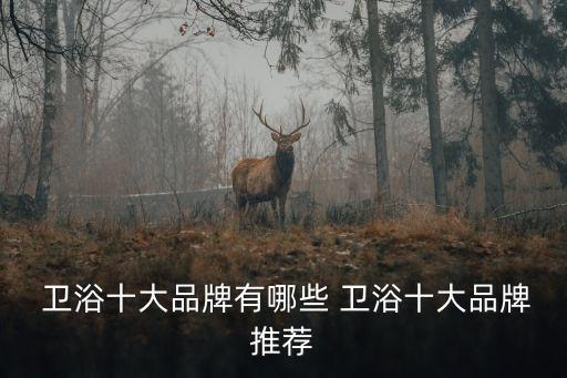  衛(wèi)浴十大品牌有哪些 衛(wèi)浴十大品牌推薦