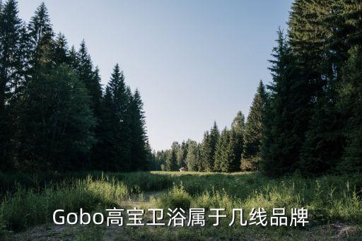 Gobo高寶衛(wèi)浴屬于幾線品牌