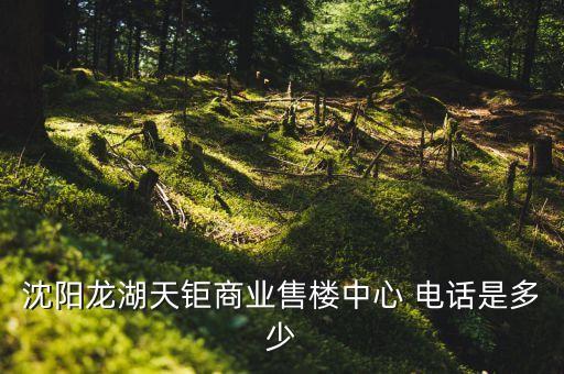 沈陽龍湖天鉅商業(yè)售樓中心 電話是多少