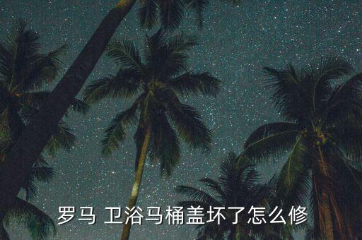  羅馬 衛(wèi)浴馬桶蓋壞了怎么修