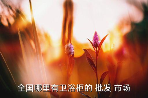 全國哪里有衛(wèi)浴柜的 批發(fā) 市場