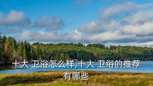 高檔衛(wèi)浴品牌哪種好,高檔威士忌品牌