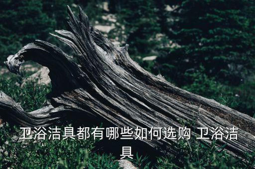  衛(wèi)浴潔具都有哪些如何選購 衛(wèi)浴潔具
