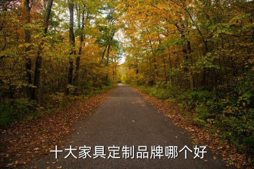 開米洛衛(wèi)浴柜是十大品牌嗎