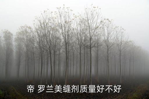 帝 羅蘭美縫劑質(zhì)量好不好