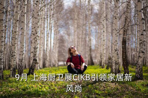 這次上海衛(wèi)浴展有哪些品牌