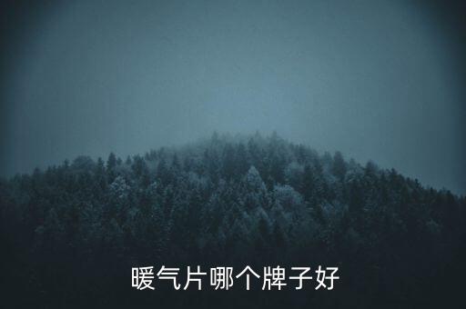  暖氣片哪個牌子好