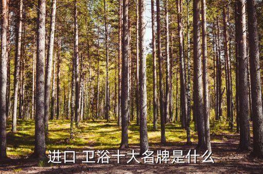 進(jìn)口 衛(wèi)浴十大名牌是什么