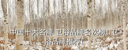 中國(guó)十大名牌 衛(wèi)浴品牌名次榜! 衛(wèi)浴品牌推薦!