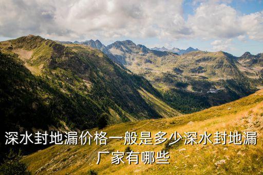 深水封地漏價(jià)格一般是多少深水封地漏 廠家有哪些