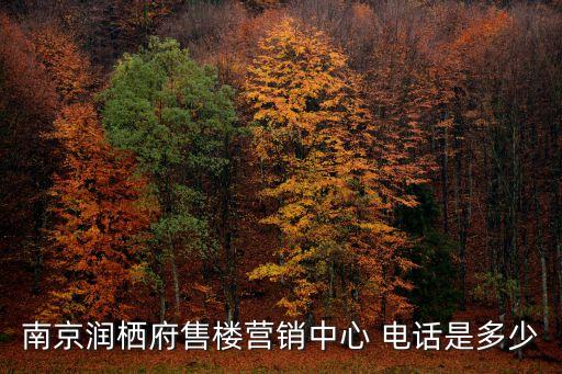 南京潤(rùn)棲府售樓營(yíng)銷(xiāo)中心 電話(huà)是多少