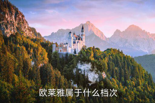  歐萊雅屬于什么檔次