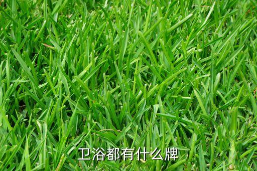 潔具衛(wèi)浴店門牌圖片大全