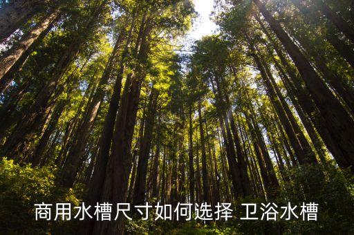 商用水槽尺寸如何選擇 衛(wèi)浴水槽