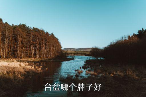 衛(wèi)浴盆下嵌式推薦品牌