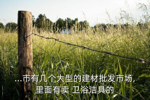 ...市有幾個(gè)大型的建材批發(fā)市場(chǎng),里面有賣(mài) 衛(wèi)浴潔具的