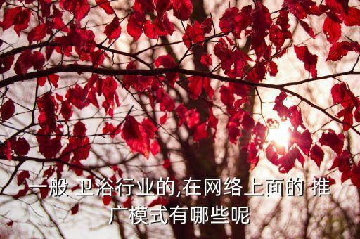 一般 衛(wèi)浴行業(yè)的,在網(wǎng)絡(luò)上面的 推廣模式有哪些呢
