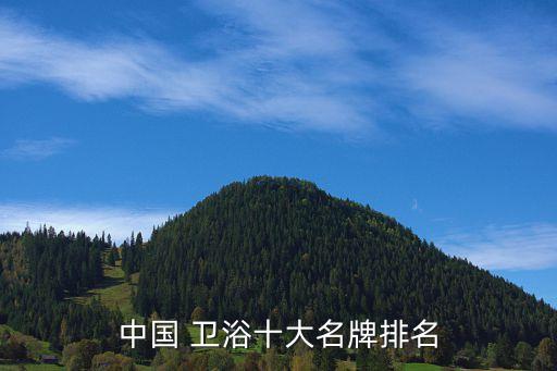 中國(guó) 衛(wèi)浴十大名牌排名