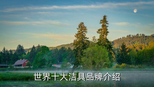 世界十大潔具品牌介紹