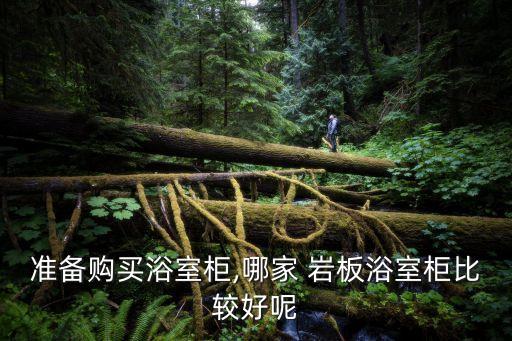 準(zhǔn)備購(gòu)買浴室柜,哪家 巖板浴室柜比較好呢