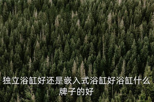 獨(dú)立浴缸好還是嵌入式浴缸好浴缸什么牌子的好