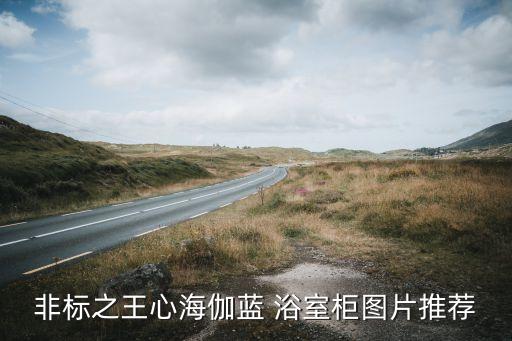 非標(biāo)之王心海伽藍(lán) 浴室柜圖片推薦