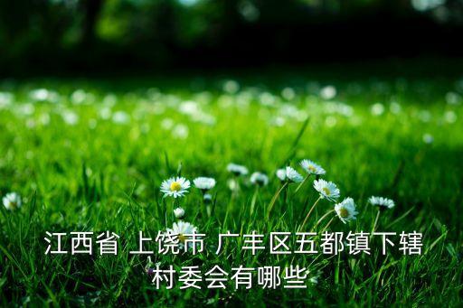  江西省 上饒市 廣豐區(qū)五都鎮(zhèn)下轄村委會(huì)有哪些