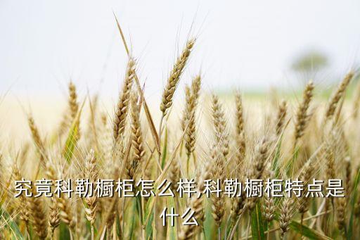 究竟科勒櫥柜怎么樣,科勒櫥柜特點(diǎn)是什么