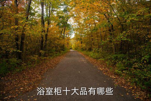 浴室柜十大品有哪些