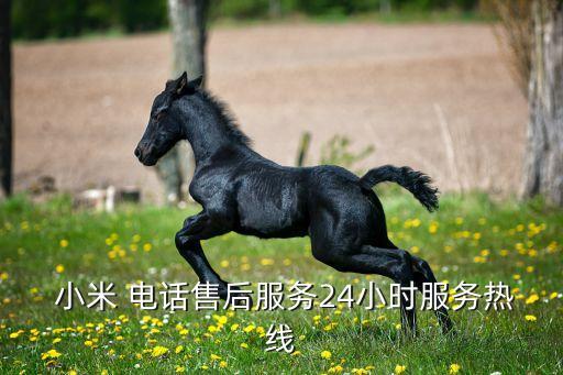  小米 電話售后服務(wù)24小時(shí)服務(wù)熱線