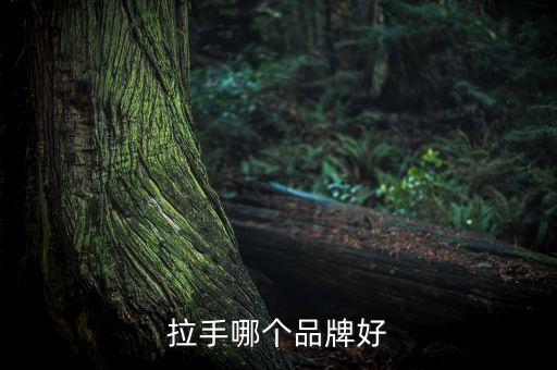 拉手哪個品牌好