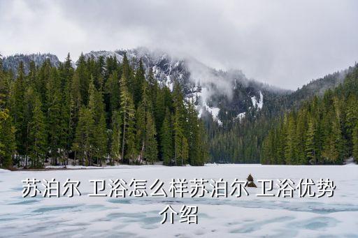 蘇泊爾 衛(wèi)浴怎么樣蘇泊爾 衛(wèi)浴優(yōu)勢介紹